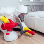 cleanu
