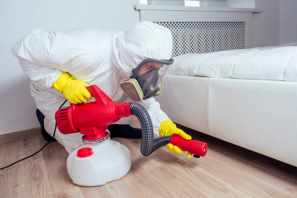 Bed Bug Treatment Strategies East London | Complete Guide