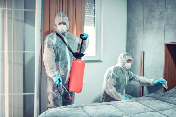 Professional Bed Bugs Removal & Same Day Bed Bug Treatment in East London