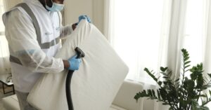 professional bed bug treatment